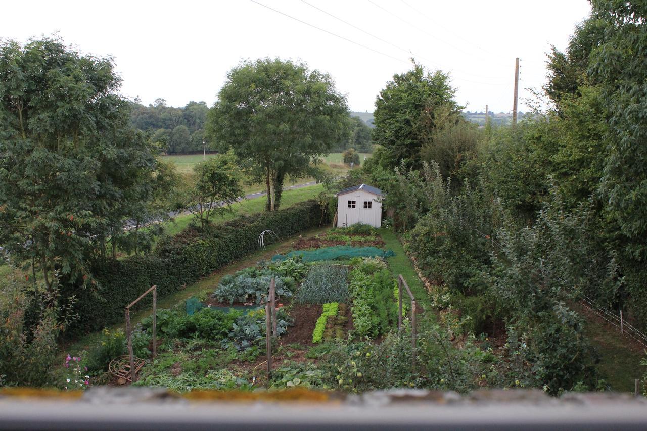 Au Jardin Des Violettes Bed & Breakfast Maheru Ruang foto